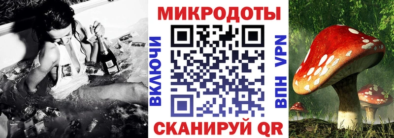 Галлюциногенные грибы прущие грибы  Купить где  Сегежа 